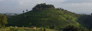 The hills of Rwanda